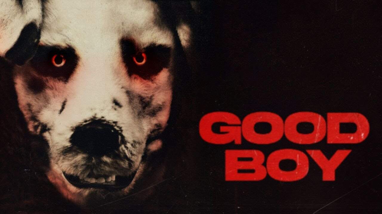 Dévoilement des Mystères du Film GOOD BOY et de sa Fin Surprenante